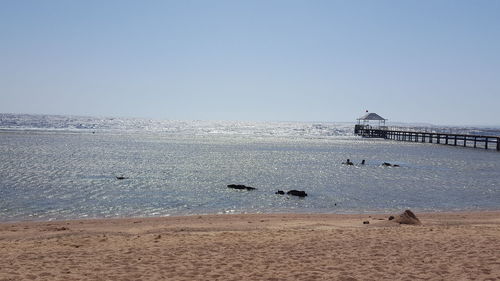 Scenic view of sea against clear sky