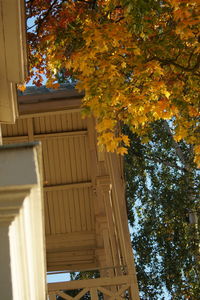 Low angle view of trees and plants against building