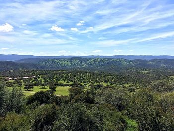 Scenic view of landscape against sky