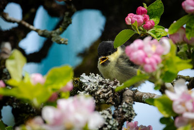 Close-up of bird on plant