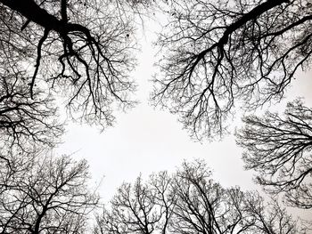 Low angle view of bare trees against clear sky