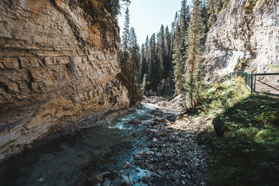 Stream flowing through rocks in forest