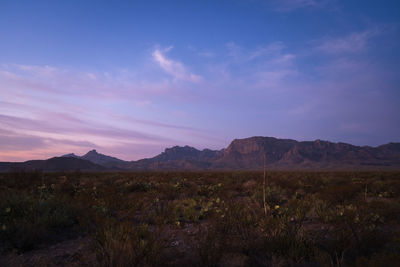 landscape