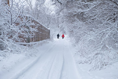 winter