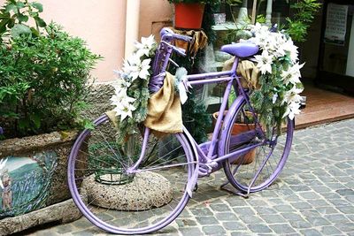 Bicycle against plants