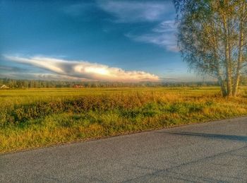 Scenic view of field against sky