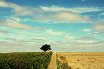 Scenic view of landscape against sky