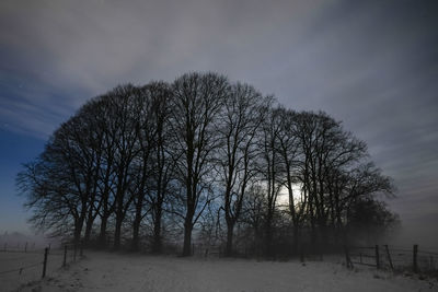 Bare trees on snowy field against sky during winter