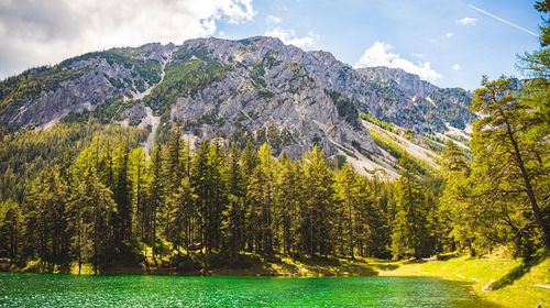 Scenic view of lake by trees against sky