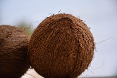 Close-up of banana against white background