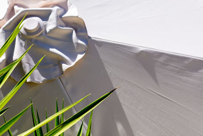 High angle view of white leaf on railing