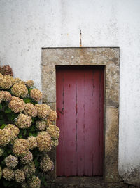 Closed door of building