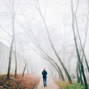 Rear view of man walking on snow covered land