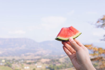 Cropped hand holding watermelon slices