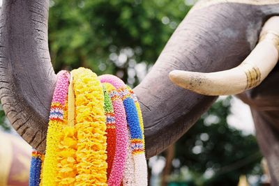 Close-up of multi colored hanging on tree