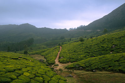 Scenic view of landscape against sky