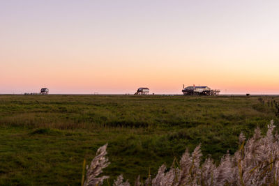 Scenic view of grassy landscape against sky during sunset