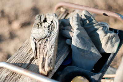 Close-up of wood