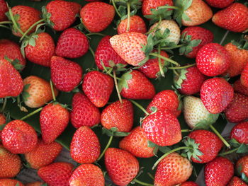 Full frame shot of strawberries