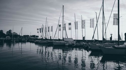 Sailboats moored at harbor against sky