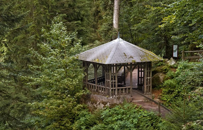 House amidst trees and plants in forest