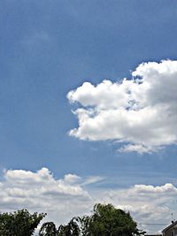 Low angle view of trees against blue sky