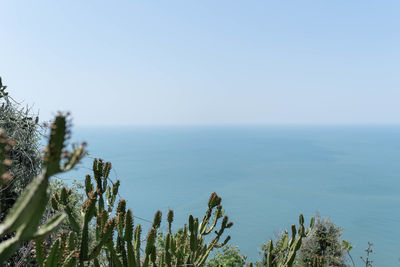 Scenic view of sea against clear sky