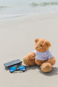 Stuffed toy on beach