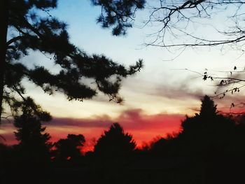 Low angle view of silhouette trees against sky at sunset