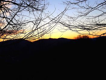 Silhouette bare tree against sky during sunset