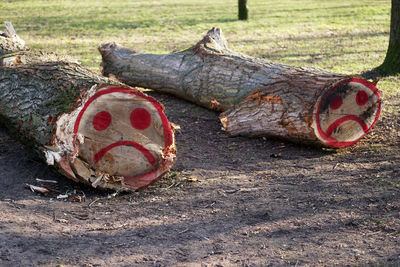 Close-up of old ball on field