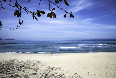 Empty beach chair facing the ocean at the beach in a sunny day