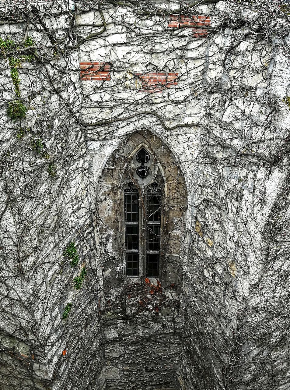 LOW ANGLE VIEW OF BUILDING