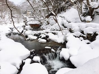 Snow covered trees by river