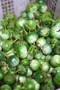 Close-up of vegetables