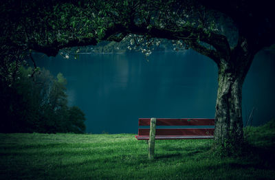 Empty bench on lakeshore