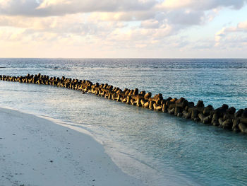 Scenic view of wave breaks in sea