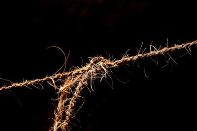 Close-up of illuminated lights over black background