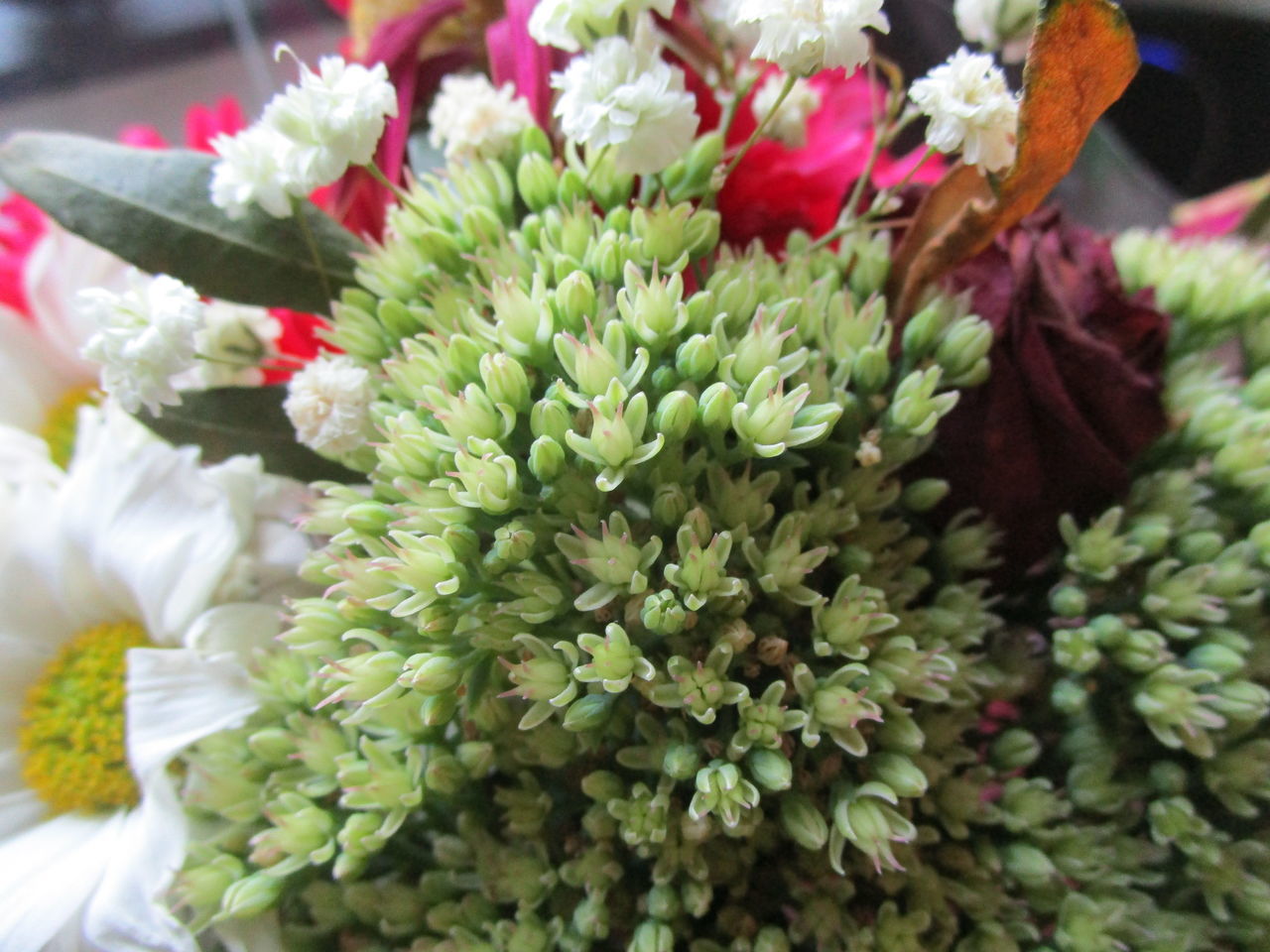 CLOSE-UP OF FLOWERING PLANTS AT MARKET