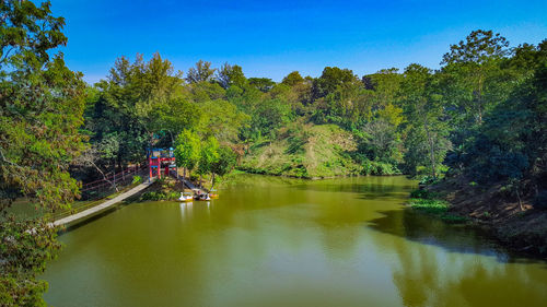 Scenic view of river amidst trees in forest against clear sky