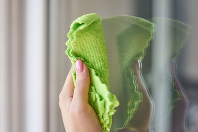 Close-up of hand holding leaf