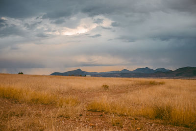 Scenic view of field against sky