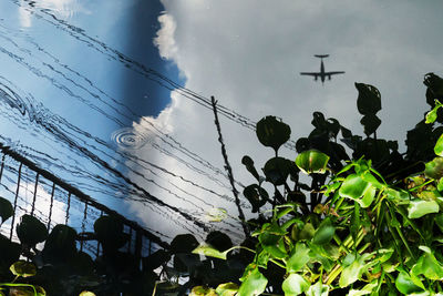 Low angle view of silhouette people against sky