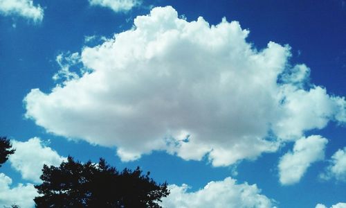 Low angle view of trees against cloudy sky