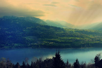 Scenic view of lake in forest against sky