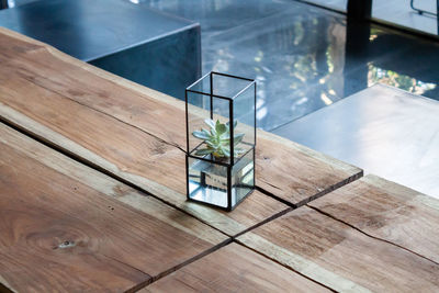 High angle view of plant in glass on table