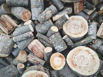 Full frame shot of logs in forest