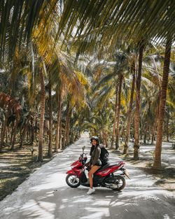 Girl riding bicycle on road