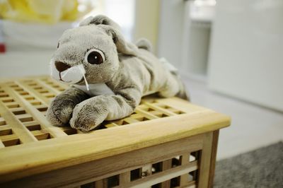 Close-up of stuffed toy