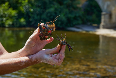 Close-up of hand holding water